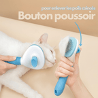 Brosse de Toilettage chat