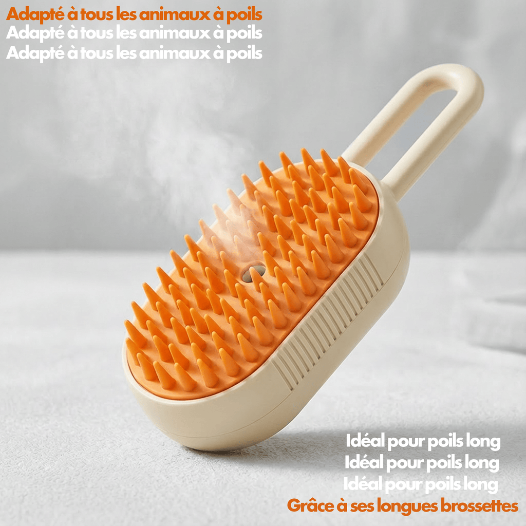 Brosse Électrique chat vapeur