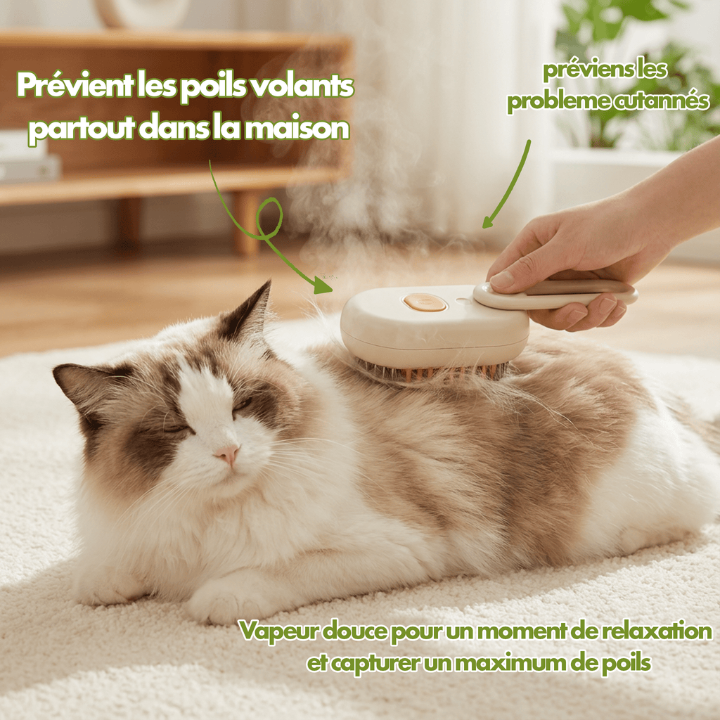 Brosse Électrique Chat
