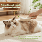 Brosse Électrique Chat