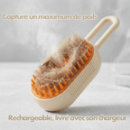 Brosse Électrique 3 - en - 1 chat