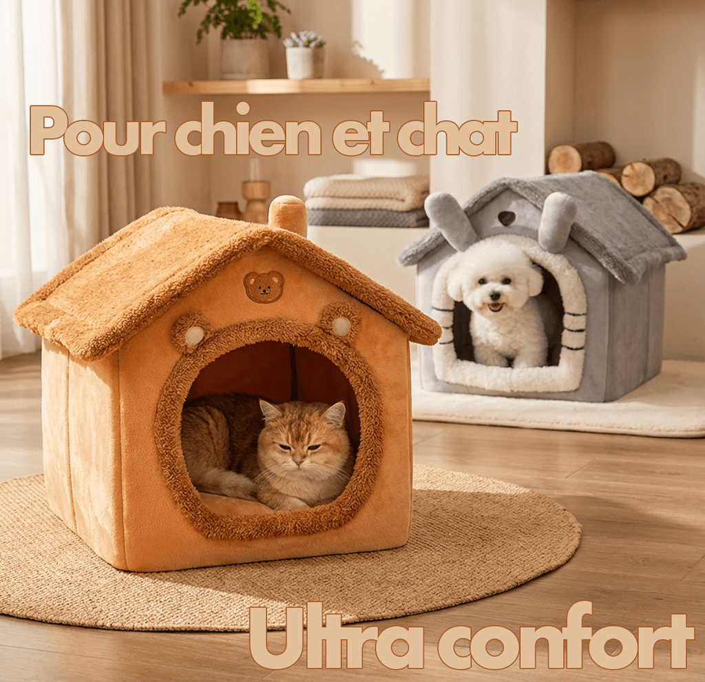 Niche Chat et Chien