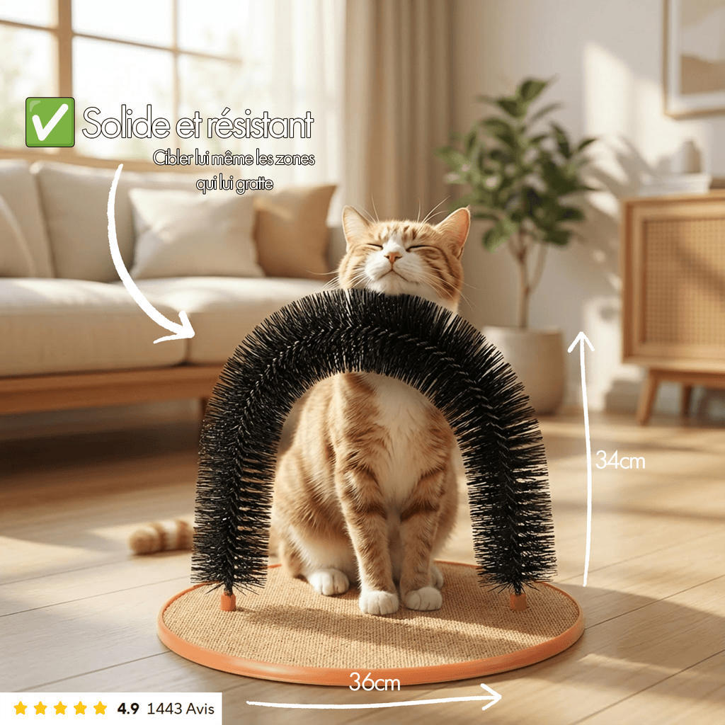 Arche de Massage